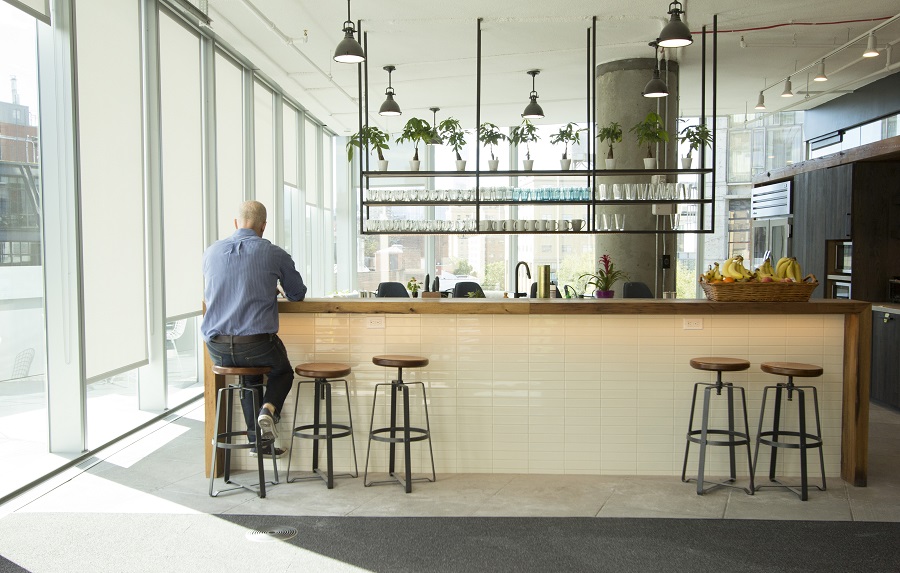 How Biophilia Can Enhance Your Wellbeing