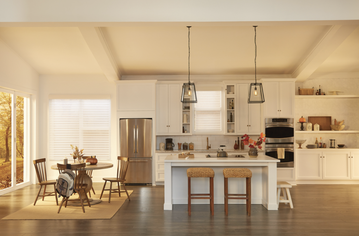 Transform Your Living Spaces with Motorized Blinds or Shades
