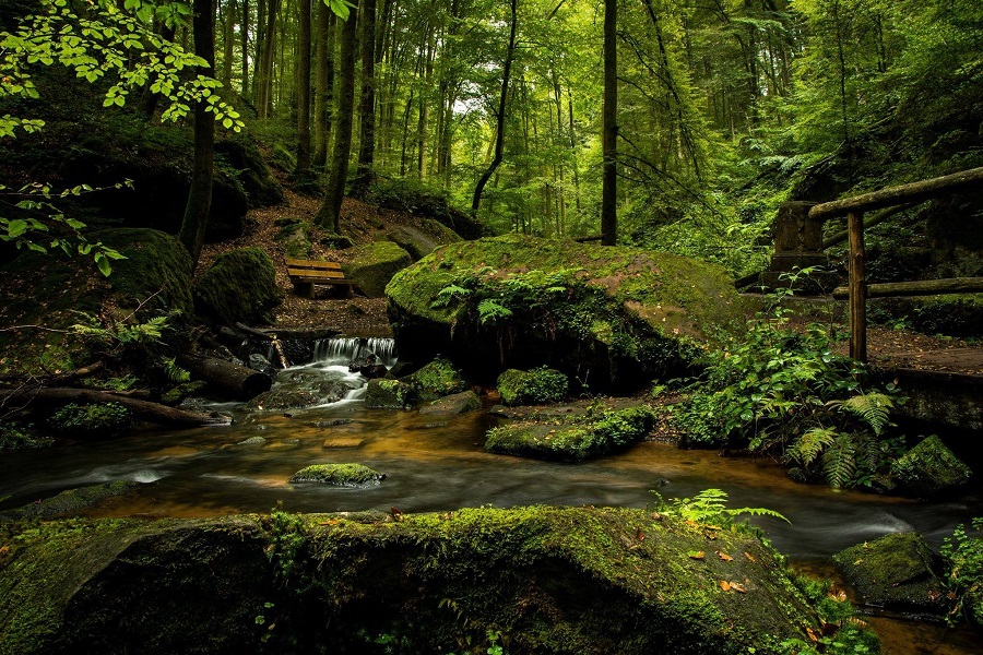 Make Your Home More Connected to Nature